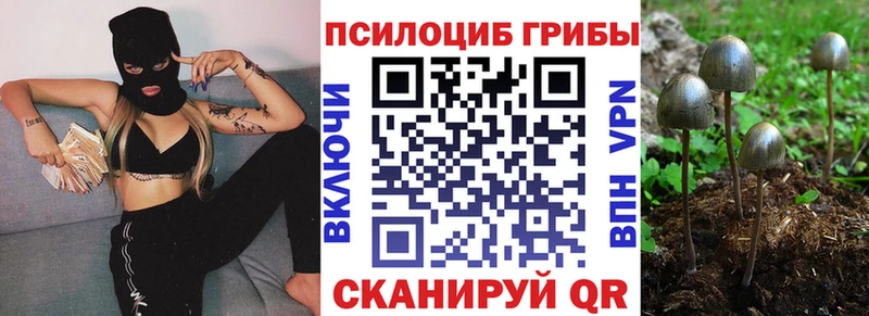 Галлюциногенные грибы Psilocybine cubensis Нижний Ломов